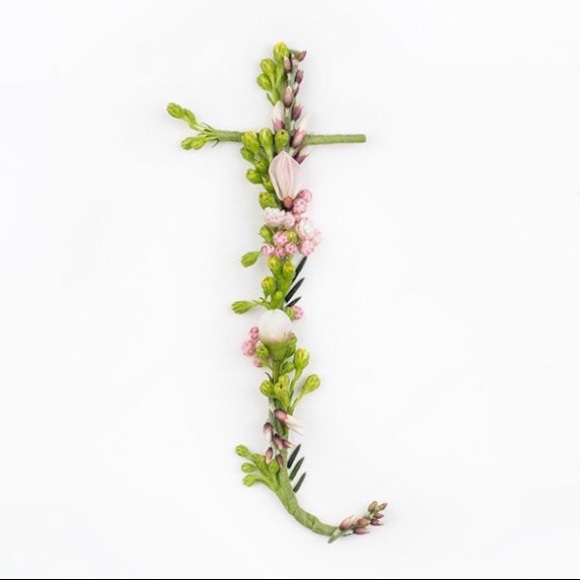 wildbloom